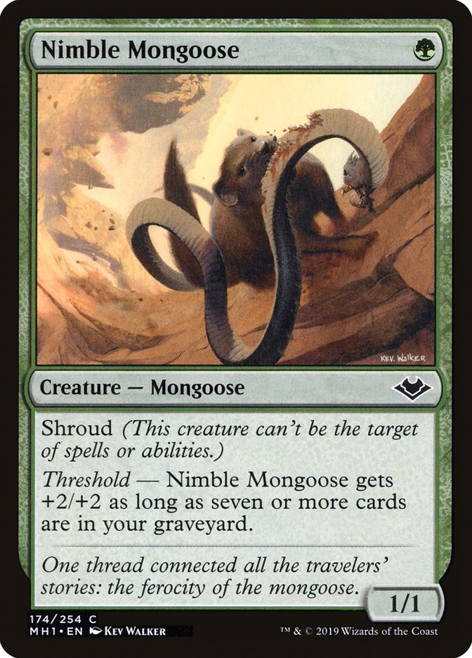 Nimble Mongoose [Modern Horizons] | Tabernacle Games