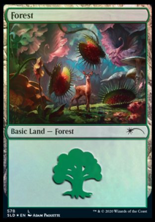 Forest (Predatory) (578) [Secret Lair Drop Promos] | Tabernacle Games