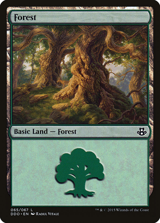 Forest (65) [Duel Decks: Elspeth vs. Kiora] | Tabernacle Games