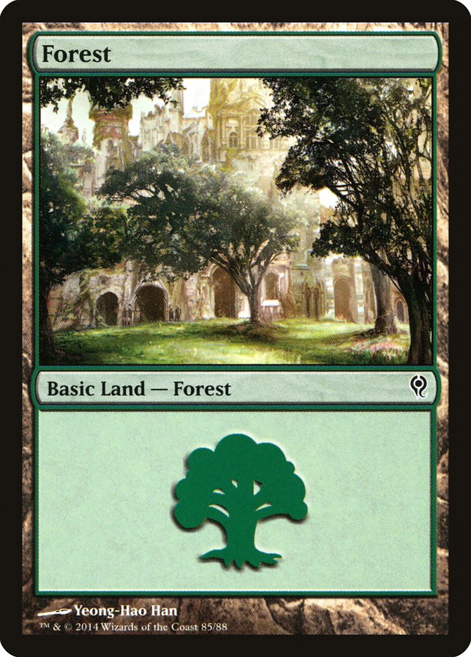 Forest (85) [Duel Decks: Jace vs. Vraska] | Tabernacle Games