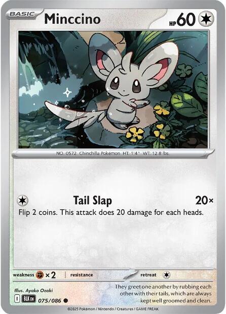 Minccino (075/086) [Scarlet & Violet: Black Bolt] | Tabernacle Games