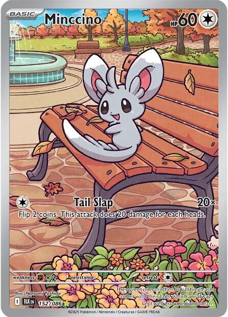 Minccino (152/086) [Scarlet & Violet: Black Bolt] | Tabernacle Games