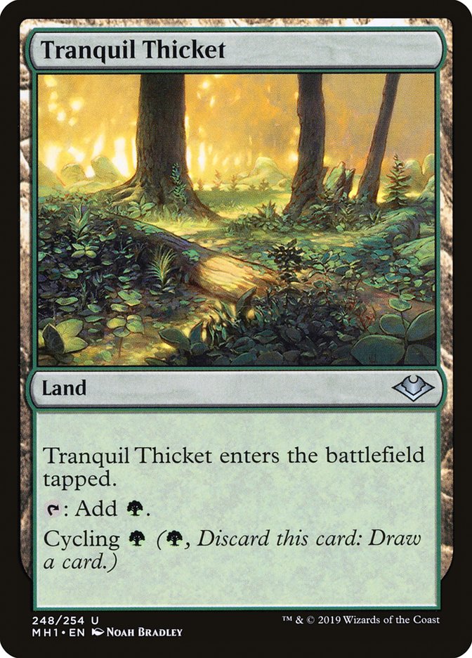 Tranquil Thicket [Modern Horizons] | Tabernacle Games