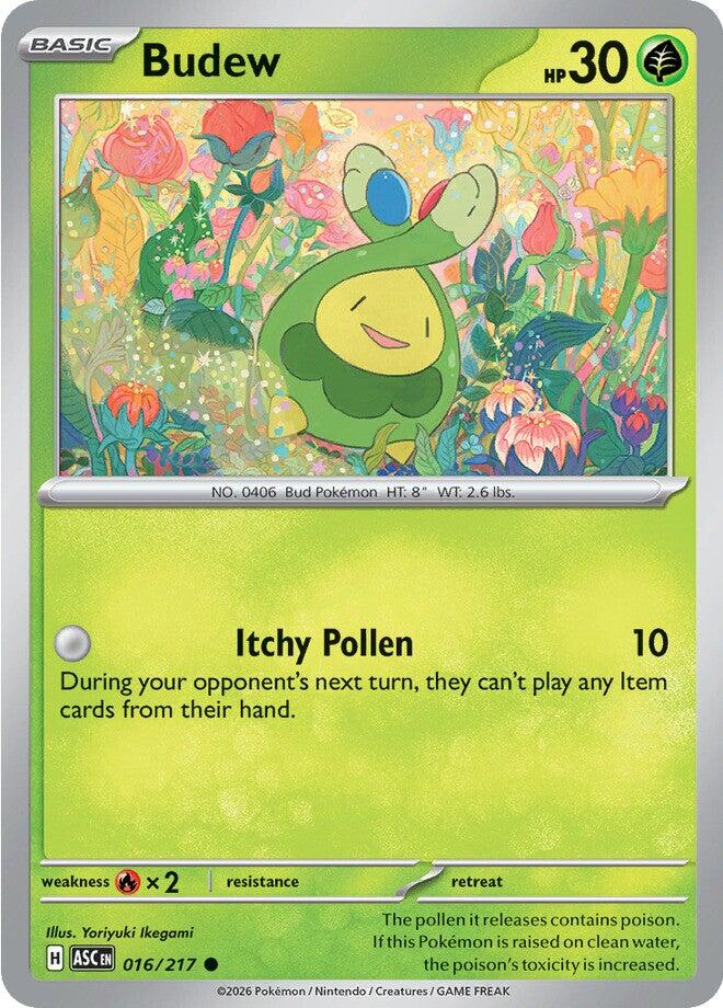 Budew (016/217) [Mega Evolution: Ascended Heroes] | Tabernacle Games