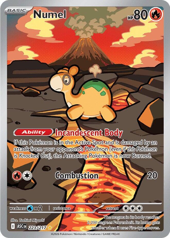 Numel (223/217) [Mega Evolution: Ascended Heroes] | Tabernacle Games