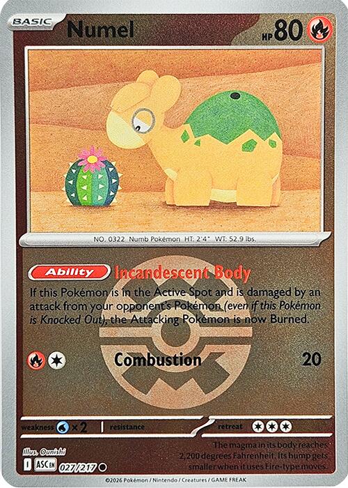 Numel (027/217) (Quick Ball) [Mega Evolution: Ascended Heroes] | Tabernacle Games