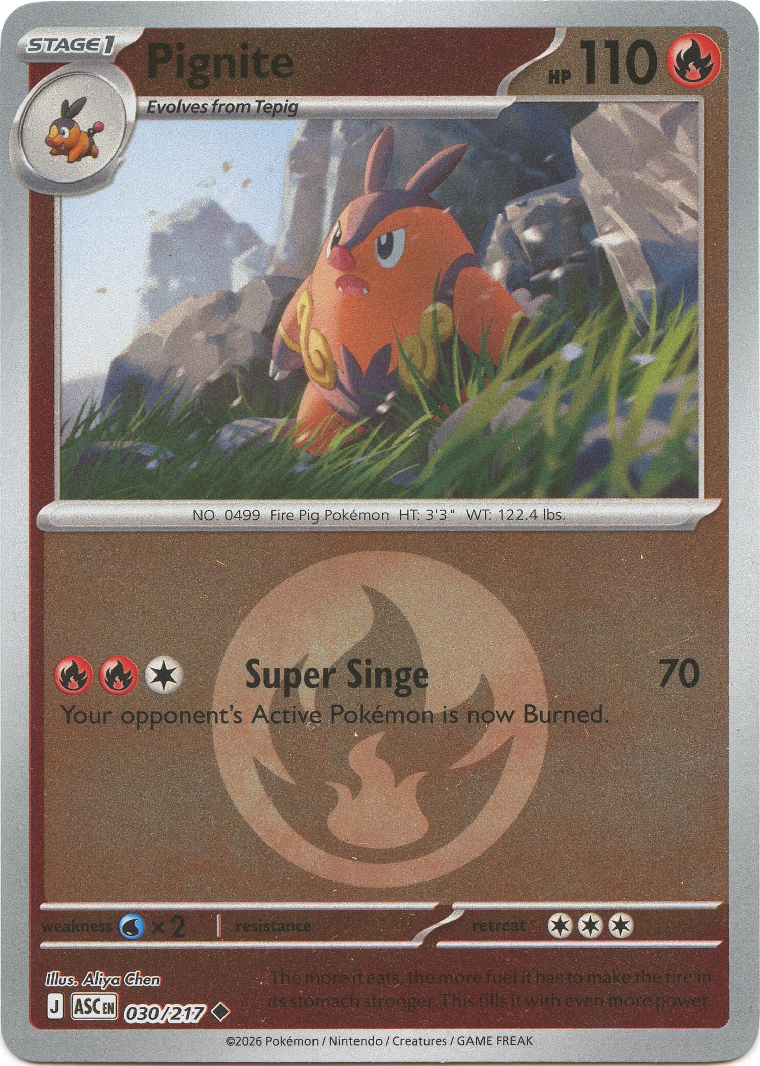 Pignite (030/217) (Energy Symbol Pattern) [Mega Evolution: Ascended Heroes] | Tabernacle Games