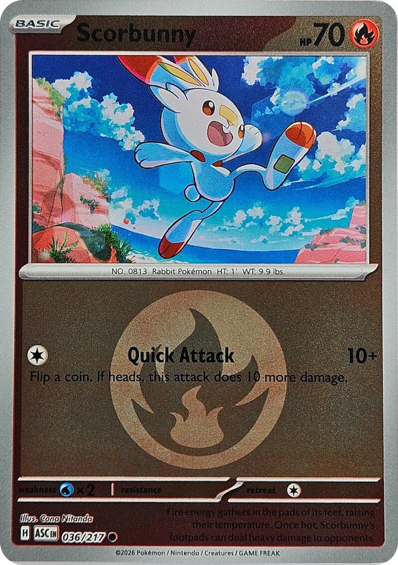 Scorbunny (036/217) (Energy Symbol Pattern) [Mega Evolution: Ascended Heroes] | Tabernacle Games