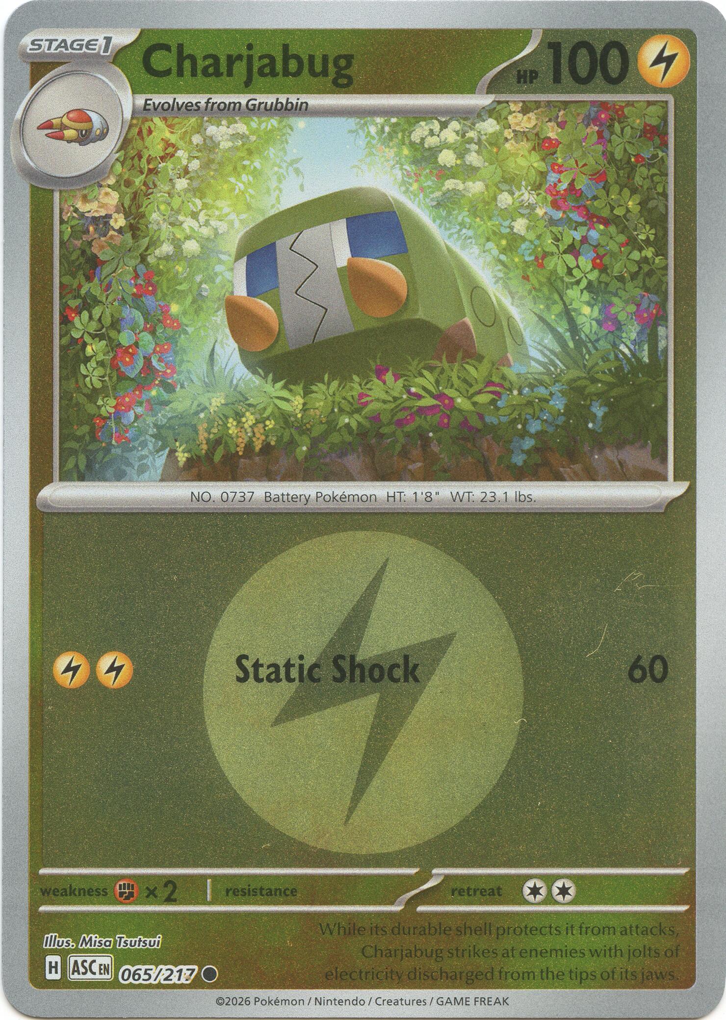 Charjabug (065/217) (Energy Symbol Pattern) [Mega Evolution: Ascended Heroes] | Tabernacle Games
