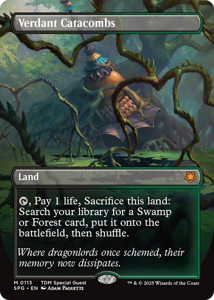 Verdant Catacombs (Borderless) [Tarkir: Dragonstorm Special Guests] | Tabernacle Games