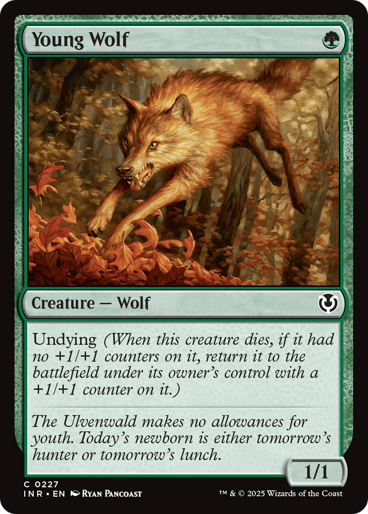 Young Wolf [Innistrad Remastered] | Tabernacle Games