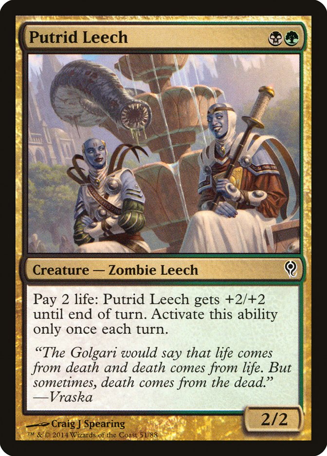 Putrid Leech [Duel Decks: Jace vs. Vraska] | Tabernacle Games