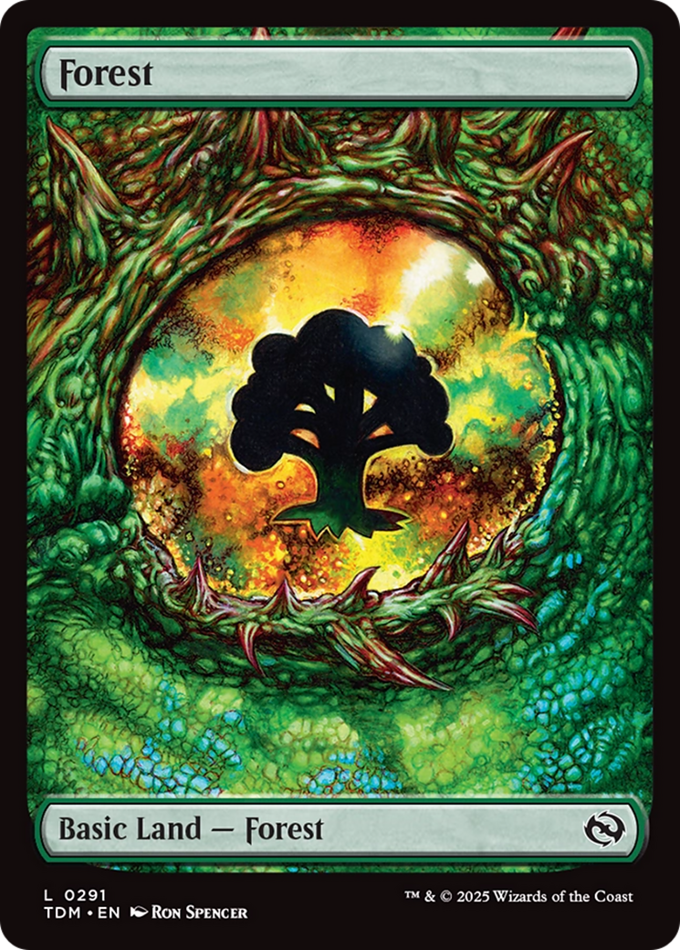 Forest (0291) [Tarkir: Dragonstorm] | Tabernacle Games