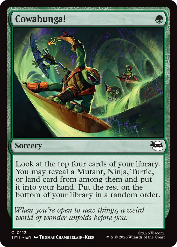 Cowabunga! [Teenage Mutant Ninja Turtles] | Tabernacle Games