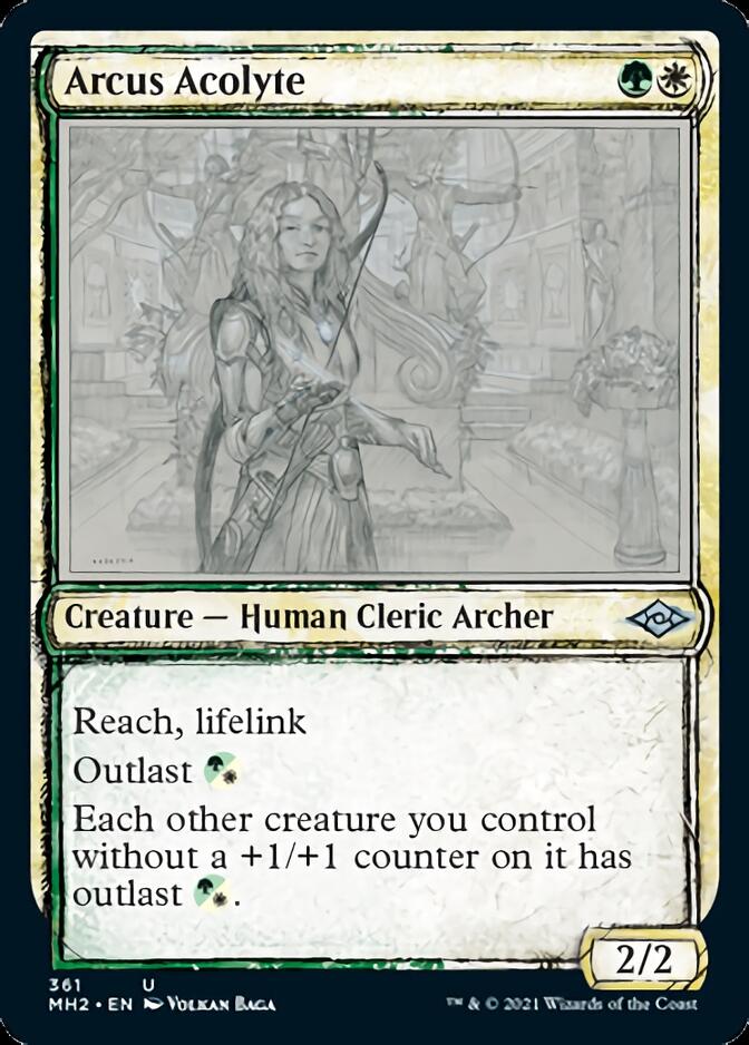 Arcus Acolyte (Sketch) [Modern Horizons 2] | Tabernacle Games