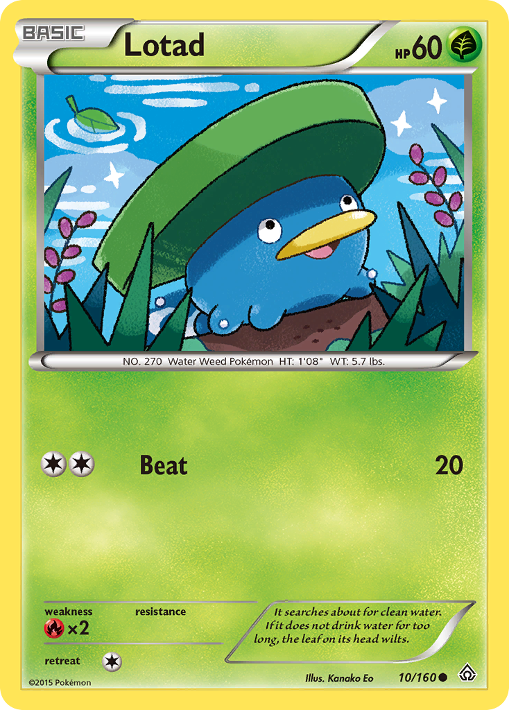 Lotad (10/160) [XY: Primal Clash] | Tabernacle Games