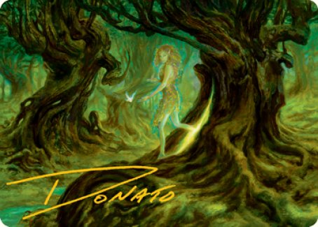 Neverwinter Dryad Art Card (Gold-Stamped Signature) [Dungeons & Dragons: Adventures in the Forgotten Realms Art Series] | Tabernacle Games