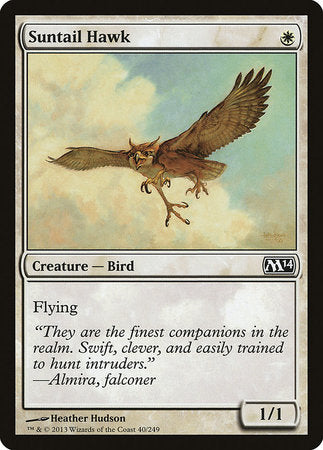 Suntail Hawk [Magic 2014] | Tabernacle Games