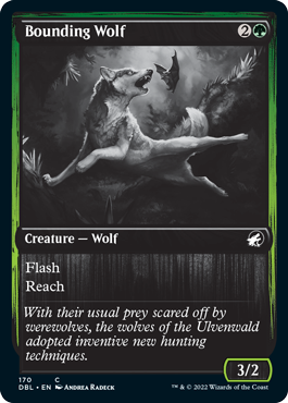 Bounding Wolf [Innistrad: Double Feature] | Tabernacle Games