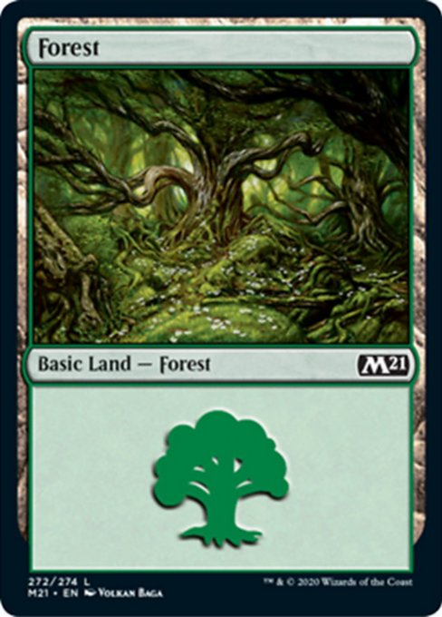 Forest [Core Set 2021] | Tabernacle Games