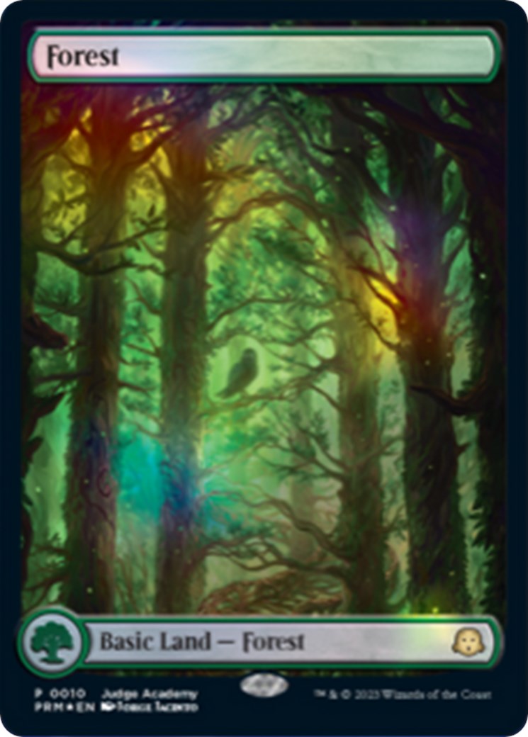 Forest [Judge Gift Cards 2023] | Tabernacle Games