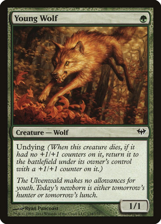 Young Wolf [Dark Ascension] | Tabernacle Games