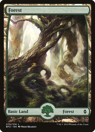 Forest (270) - Full Art [Battle for Zendikar] | Tabernacle Games