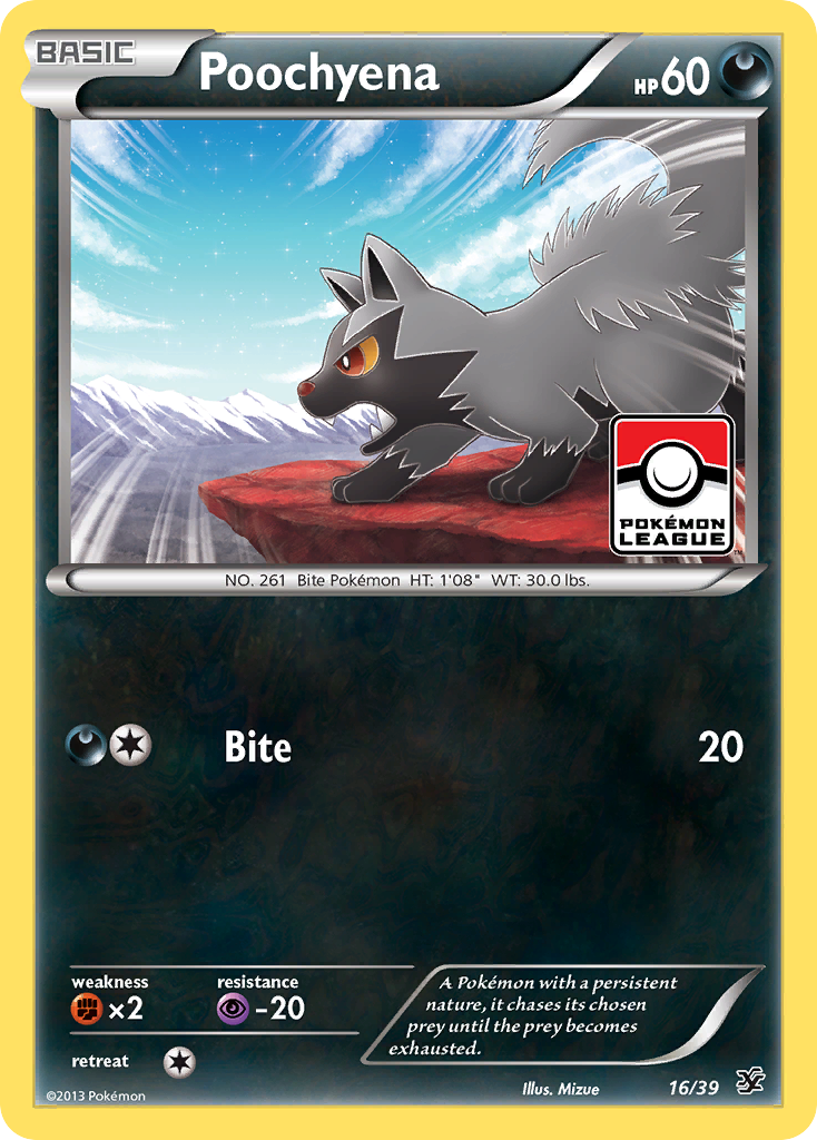 Poochyena (16/39) [XY: Kalos Starter Set] | Tabernacle Games