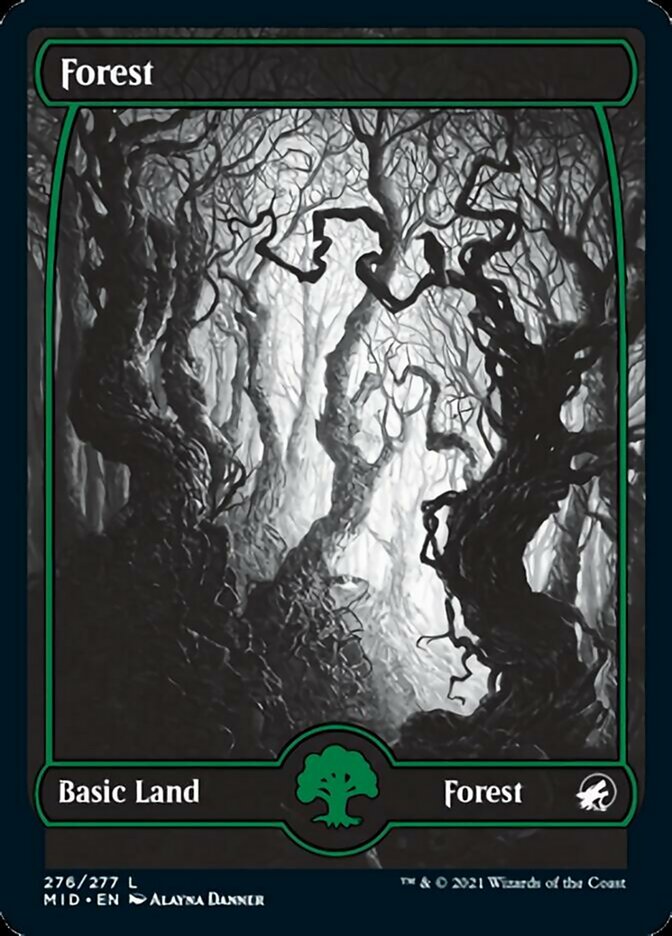 Forest (276) [Innistrad: Midnight Hunt] | Tabernacle Games