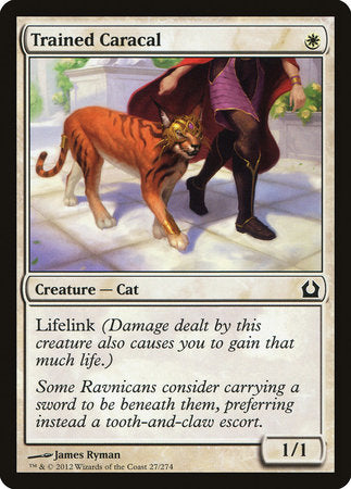 Trained Caracal [Return to Ravnica] | Tabernacle Games