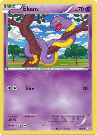 Ekans (16/30) [XY: Trainer Kit - Noivern] | Tabernacle Games