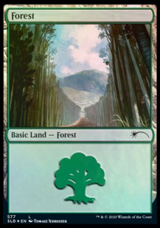 Forest (Walls) (577) [Secret Lair Drop Promos] | Tabernacle Games