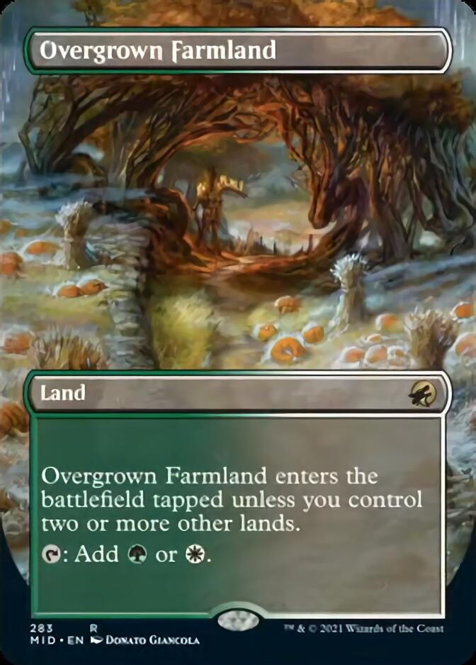 Overgrown Farmland (Borderless) [Innistrad: Midnight Hunt] | Tabernacle Games