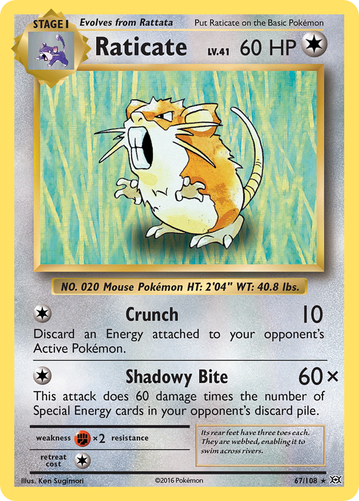 Raticate (67/108) [XY: Evolutions] | Tabernacle Games