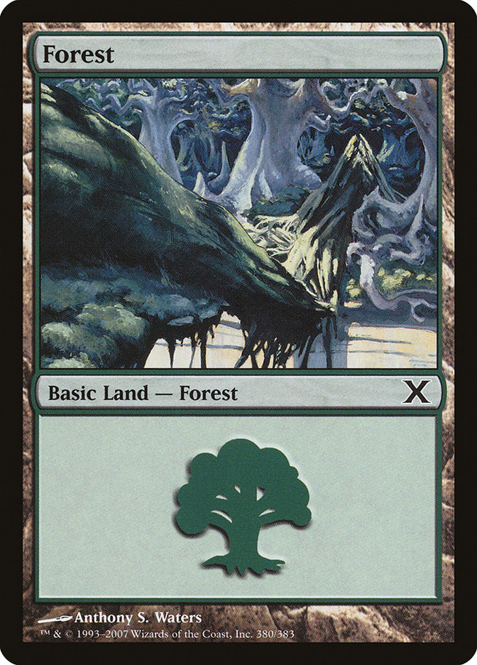Forest (380) [Tenth Edition] | Tabernacle Games