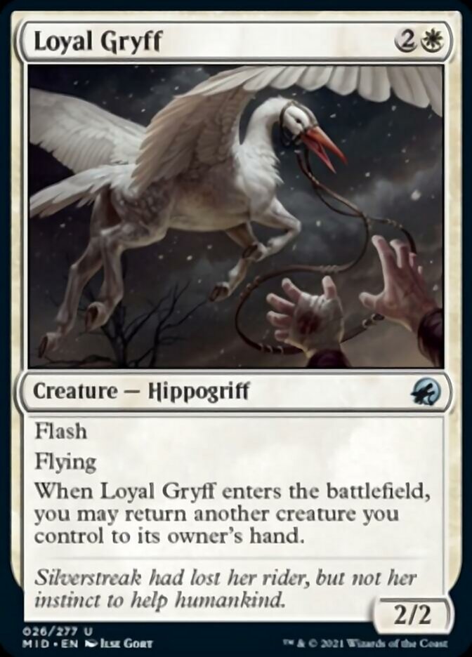 Loyal Gryff [Innistrad: Midnight Hunt] | Tabernacle Games