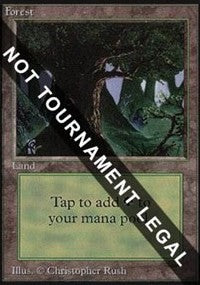 Forest (Eyes)(IE) [International Edition] | Tabernacle Games