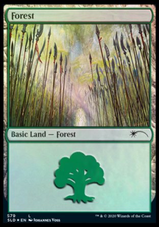 Forest (Elves) (579) [Secret Lair Drop Promos] | Tabernacle Games