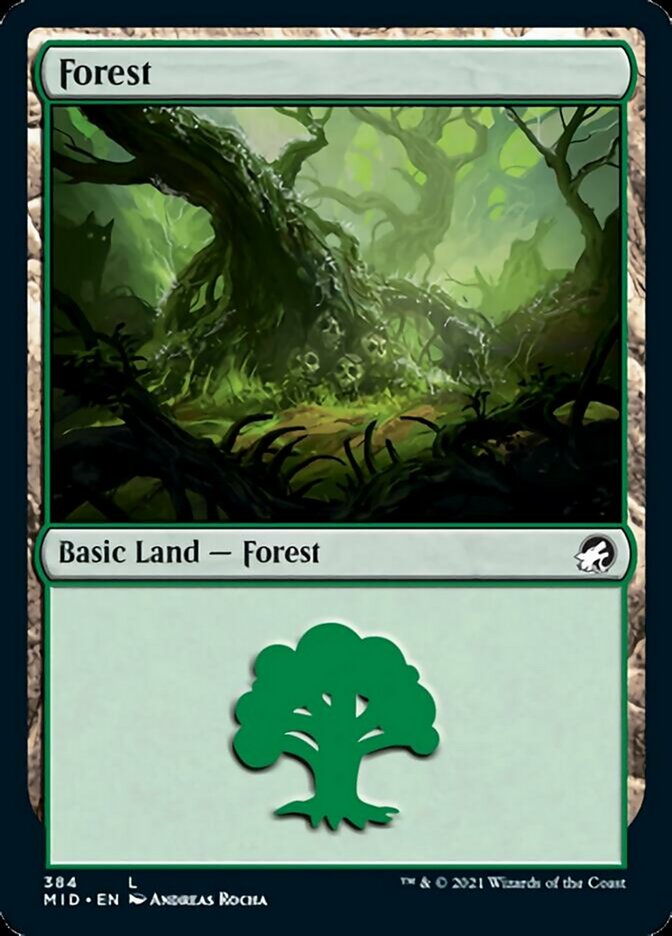 Forest (384) [Innistrad: Midnight Hunt] | Tabernacle Games