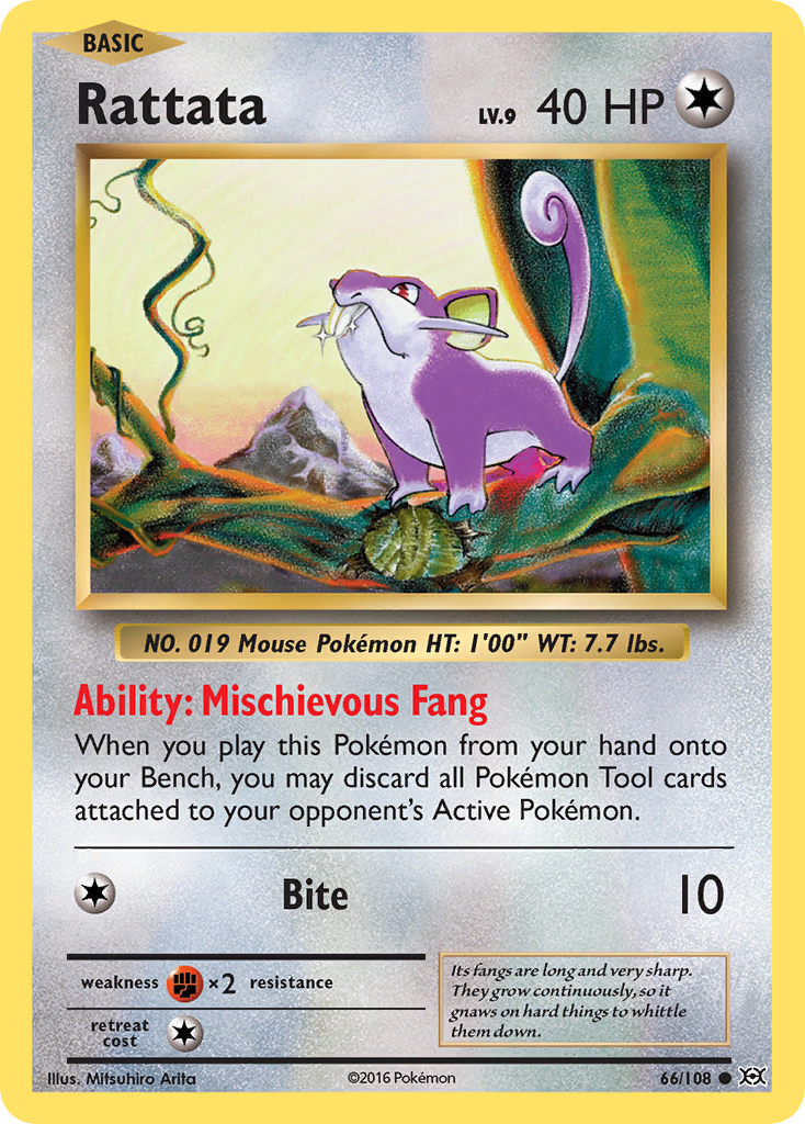 Rattata (66/108) [XY: Evolutions] | Tabernacle Games