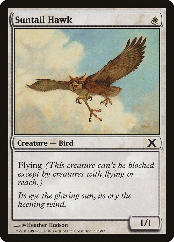 Suntail Hawk [Tenth Edition] | Tabernacle Games