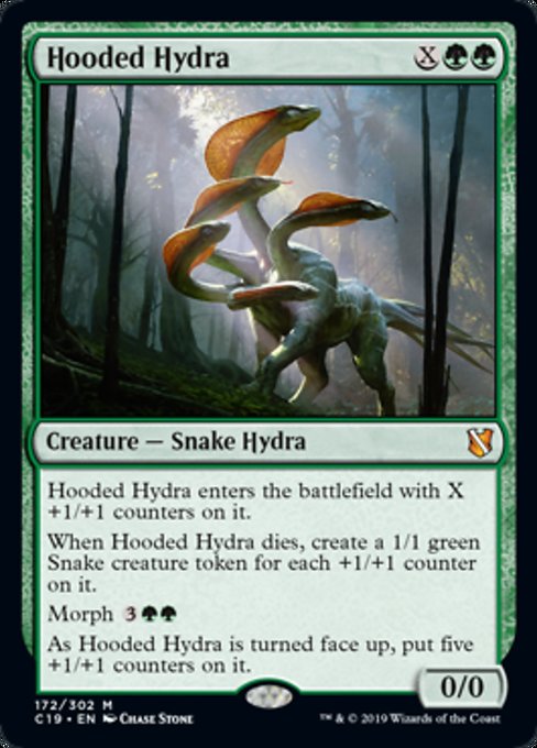 Hooded Hydra [Commander 2019] | Tabernacle Games