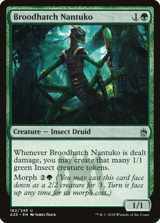 Broodhatch Nantuko [Masters 25] | Tabernacle Games