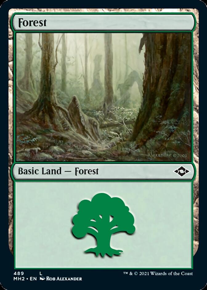 Forest (489) [Modern Horizons 2] | Tabernacle Games