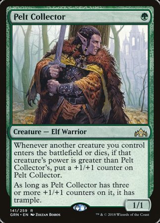 Pelt Collector [Guilds of Ravnica] | Tabernacle Games