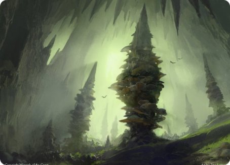 Forest (280) Art Card [Dungeons & Dragons: Adventures in the Forgotten Realms Art Series] | Tabernacle Games