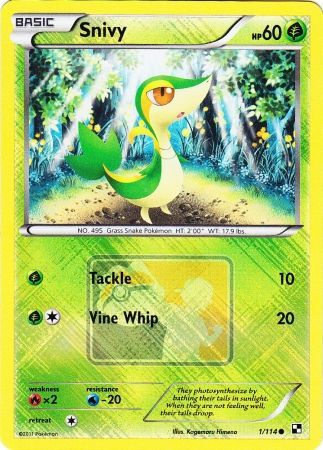 Snivy (1/114) (League Promo) [Black & White: Base Set] | Tabernacle Games