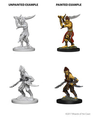 D&D Nolzur's Marvelous Miniatures (Small) | Tabernacle Games